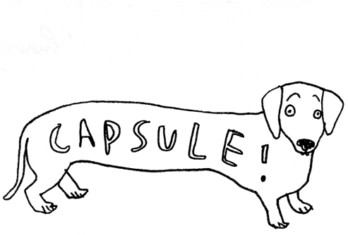 capsule